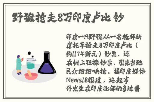 金银瓶1-51996杨敏